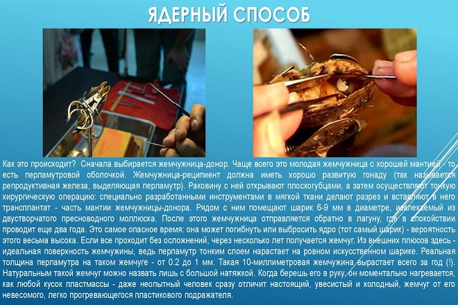 Ядерный метод Ядерный метод
