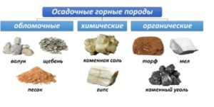 осадочные горные породы
