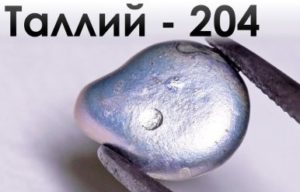 таллий
